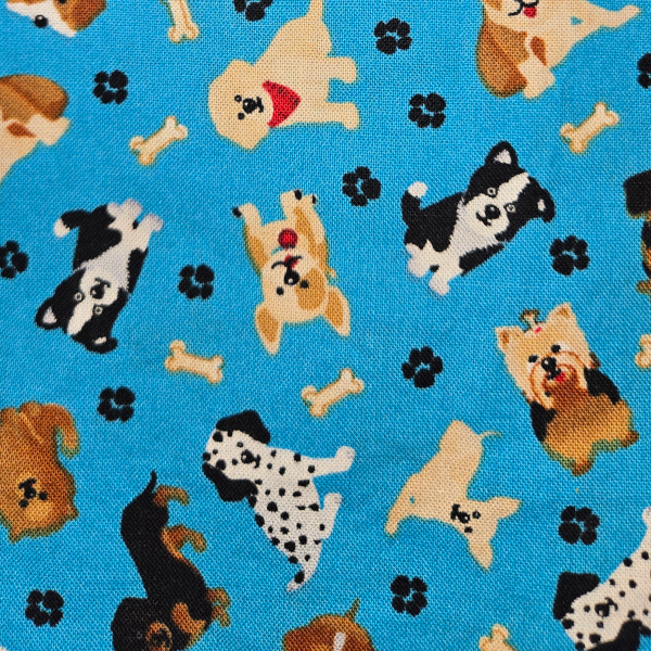 Puppies