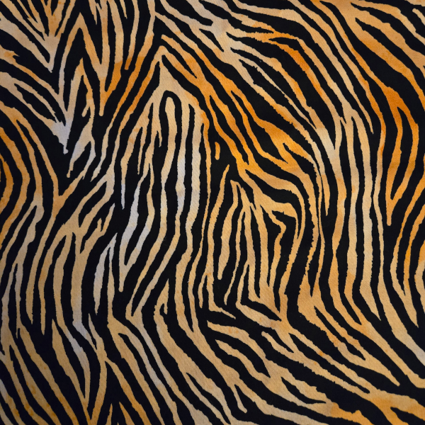 Tiger Stripes